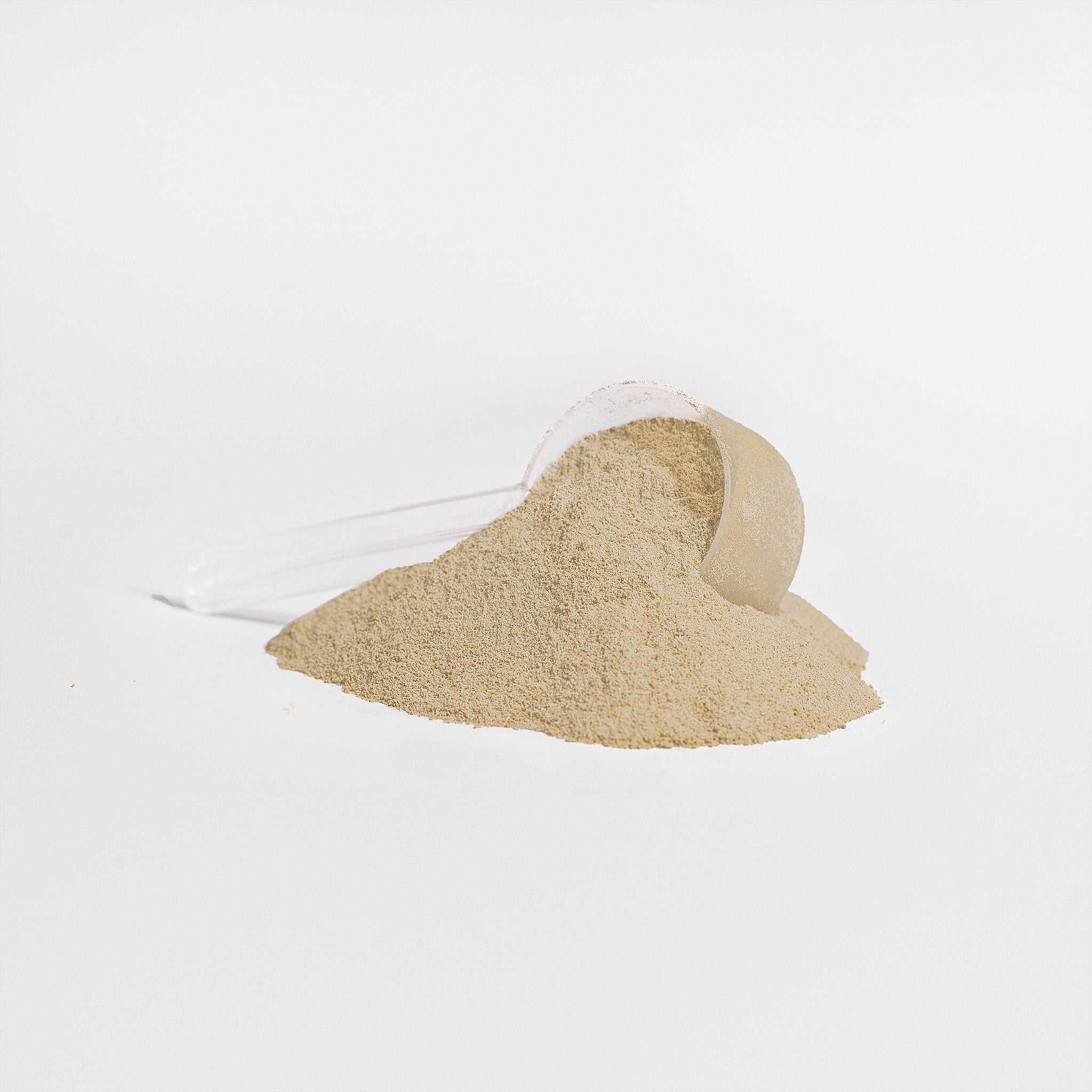 Whey Protein Isolate - Vanilla - 2 lb.